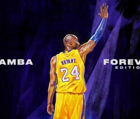 开云APP-阿坎吉铁腕破局，当波兰悬念在马赛的雨夜提前终结